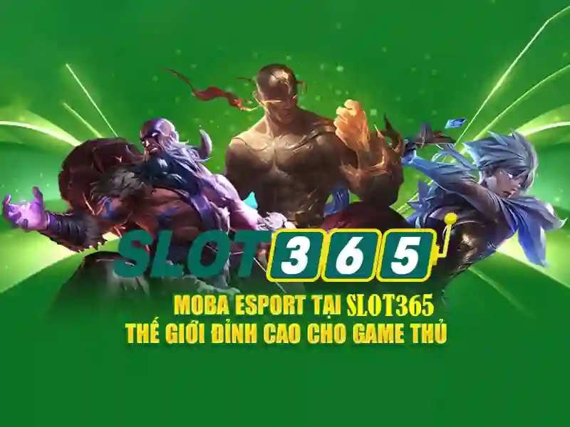 Trải nghiệm người dùng và hỗ trợ
