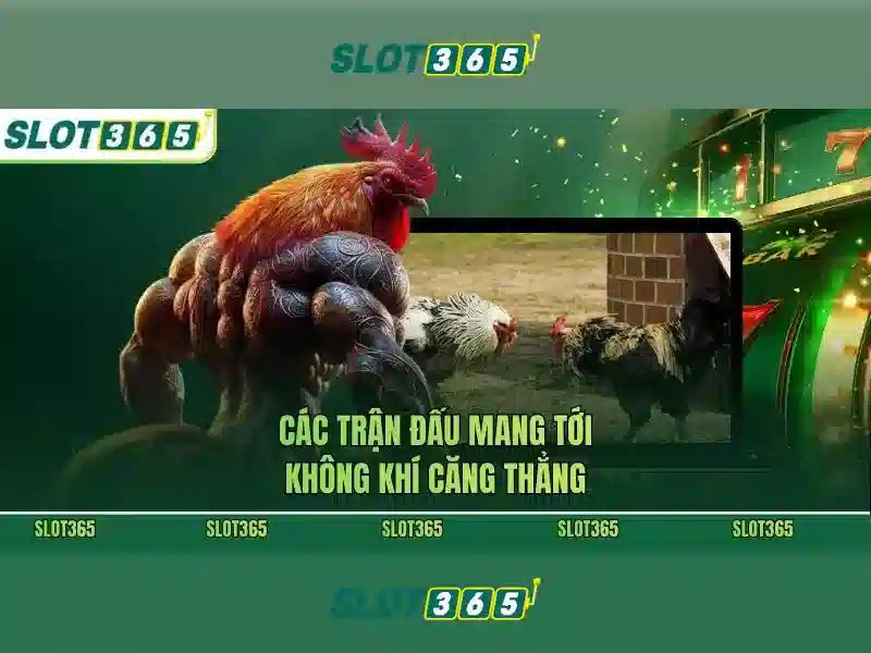 Việt Vị Trong Bóng Đá