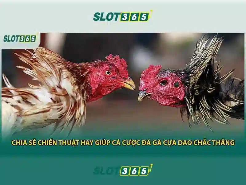 Slot365 là gì và tại sao nó nổi bật?
