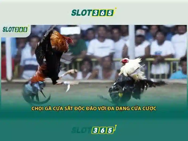 Việt Vị Trong Bóng Đá