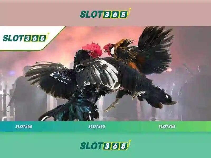 Slot365: Đánh giá giao diện và bảo mật