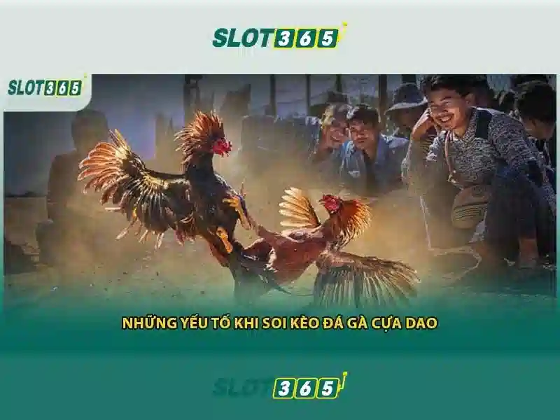 Tính năng nổi bật của Slot365