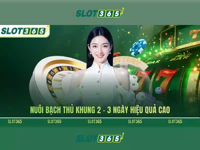 Slot365 là gì?