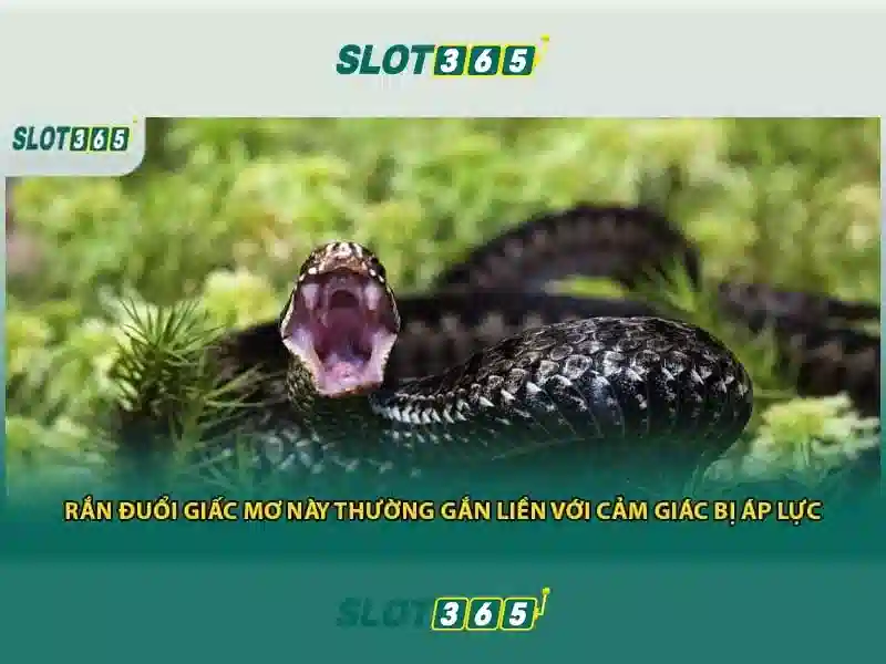 Việt Vị Trong Bóng Đá