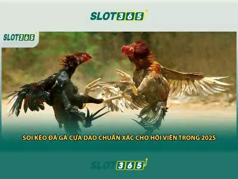 Slot365 là gì và tại sao nổi bật