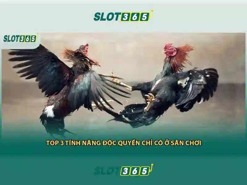 Việt Vị Trong Bóng Đá