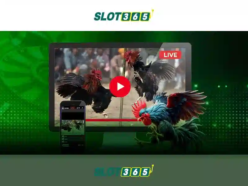 Giao diện và trải nghiệm người dùng