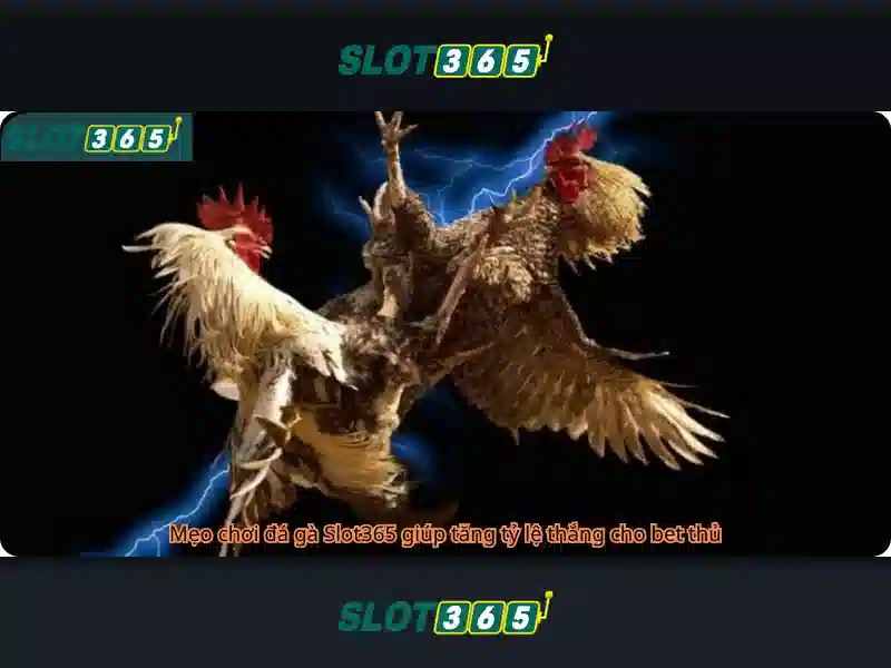 An toàn và bảo mật khi chơi tại Slot365