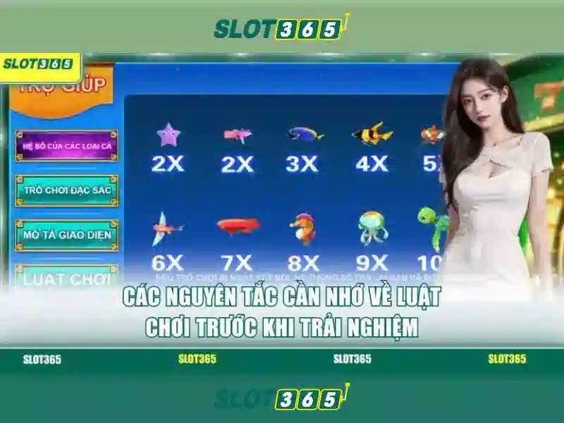 Tại sao nên chọn Slot365?