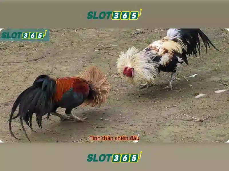 Việt Vị Trong Bóng Đá