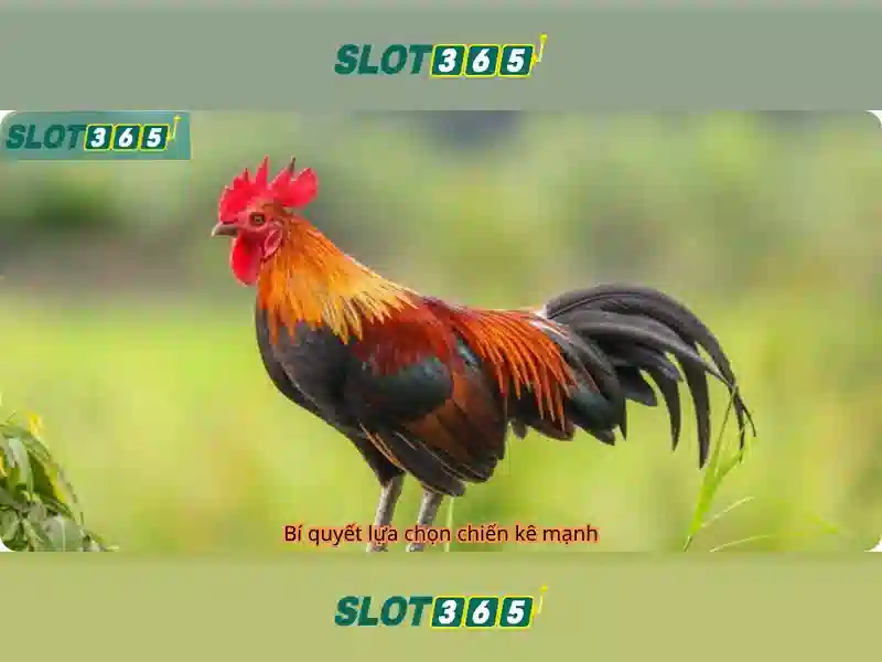 Cách đăng ký và bảo mật