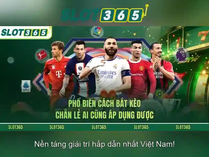 Hỗ trợ khách hàng 24/7