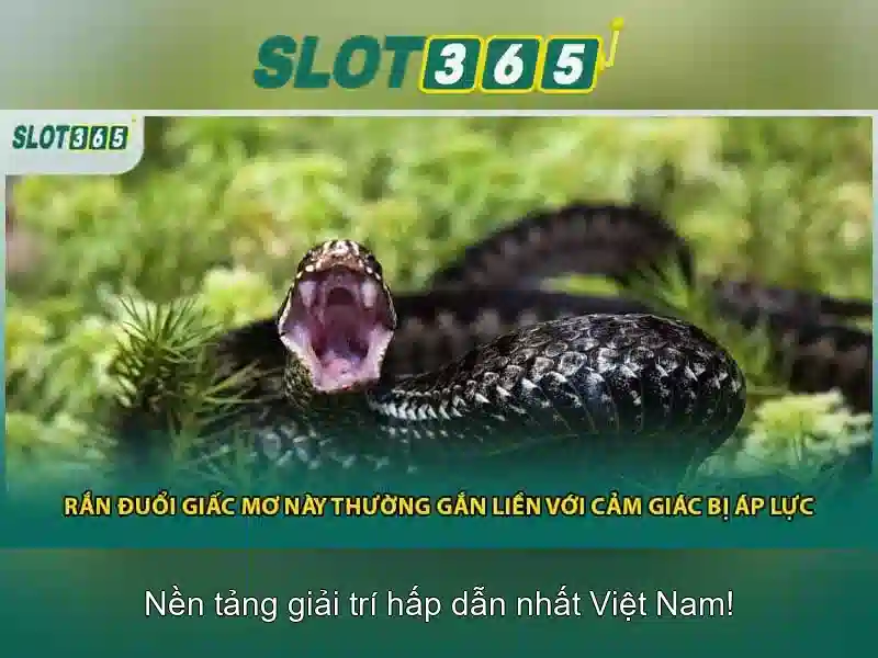 Việt Vị Trong Bóng Đá