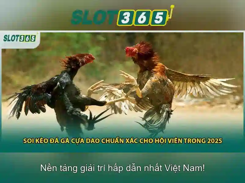 Danh mục trò chơi và tính năng nổi bật