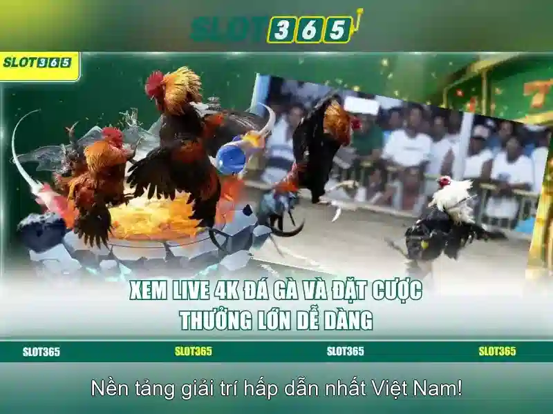 Danh mục trò chơi