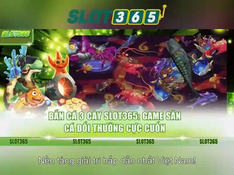 Giao diện người dùng và trải nghiệm trên điện thoại di động