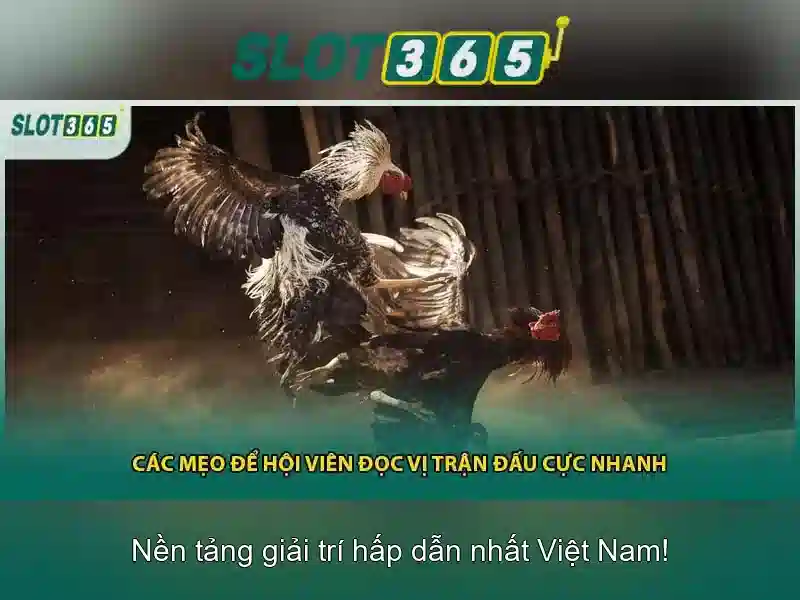 Danh mục trò chơi và tiện ích