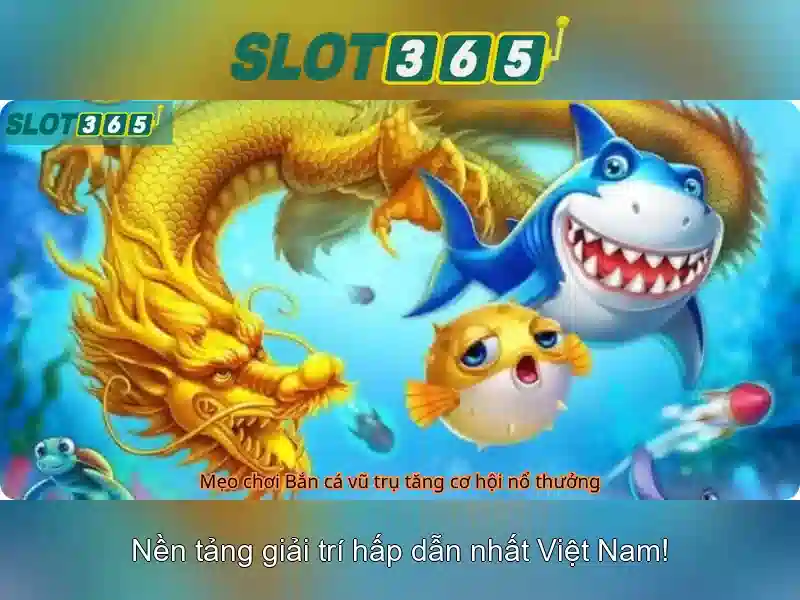 Trải nghiệm người dùng và khuyến mãi