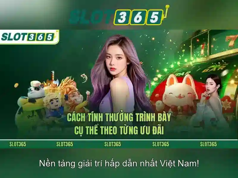Khuyến mãi và hỗ trợ khách hàng