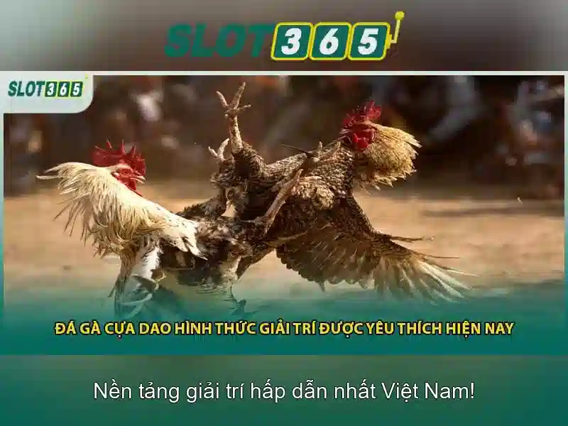 Giao diện và trải nghiệm người dùng