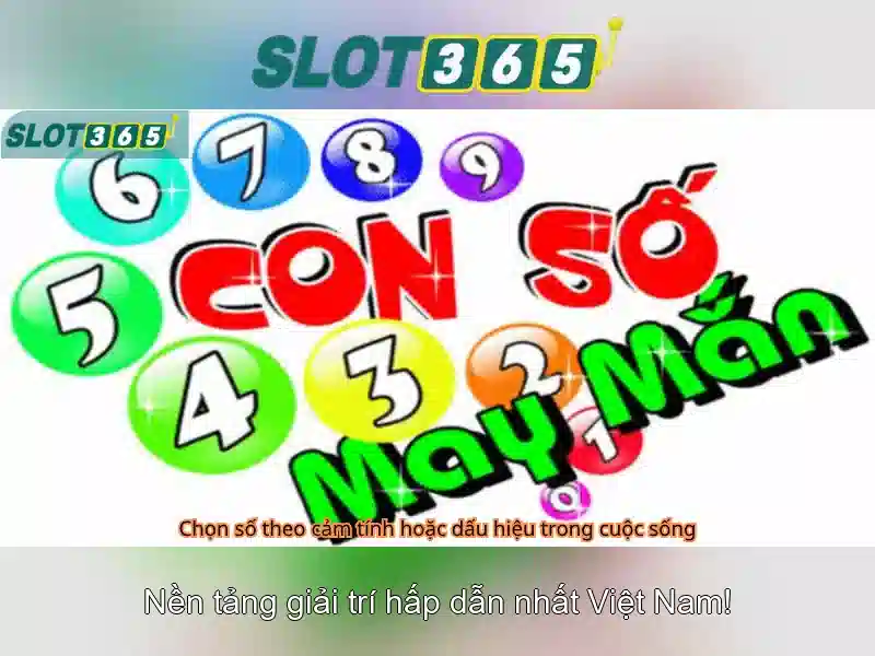Giao diện người dùng và tính năng