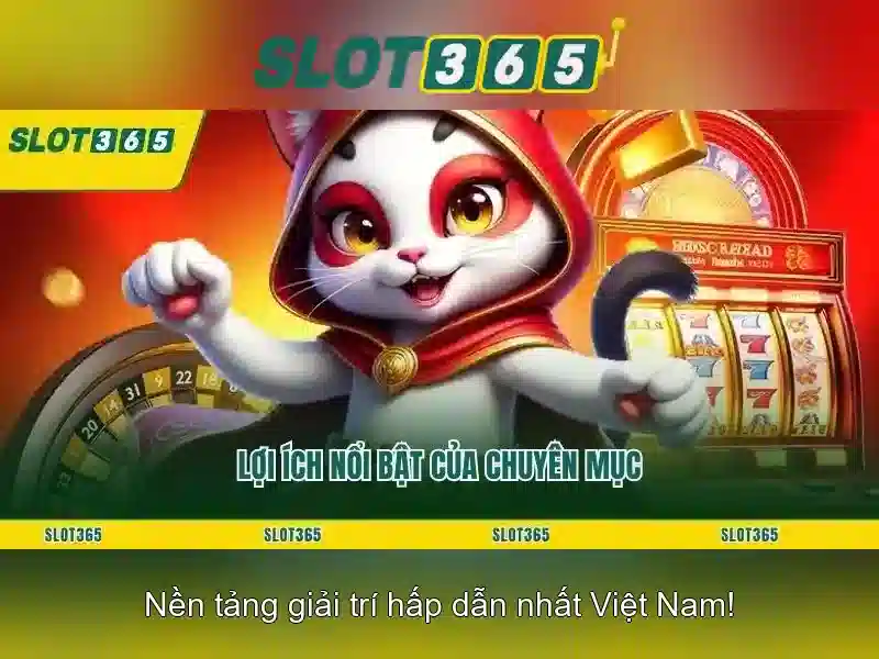 Hỗ trợ và trải nghiệm người dùng