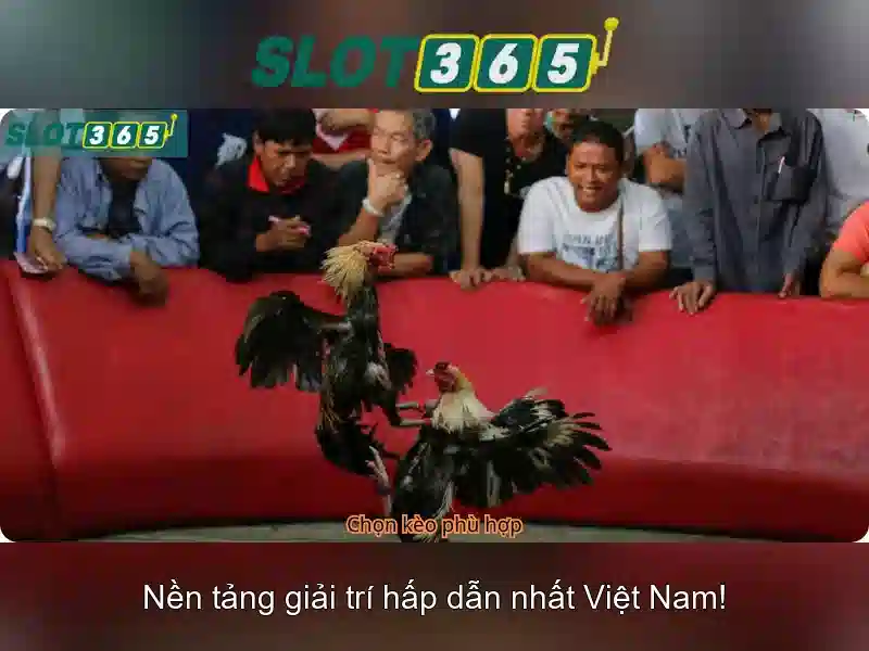 Cải tiến và tính năng nổi bật