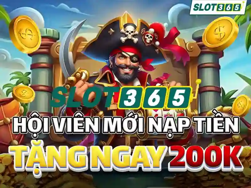 Trải nghiệm người dùng và Phản hồi cộng đồng
