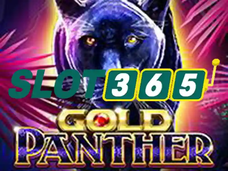 Kết luận về Slot365