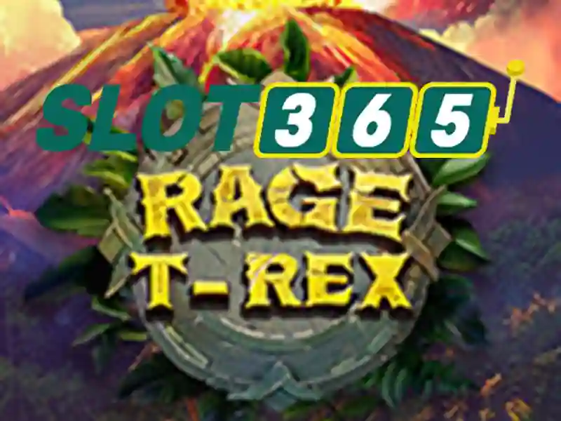 Sản phẩm Slot365 – chức năng và cam kết pháp lý
